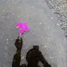 hazalla