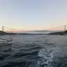 stsareseven