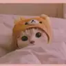 twinkle13