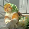 kediannesinino