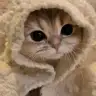 pnrergl
