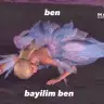 senolii