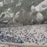 kelebek232334