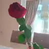 bzade