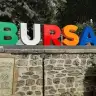 Bursaligirl