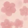 Leylaam1