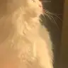 rory0