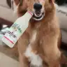 PozitifHanim