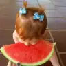 cebellato