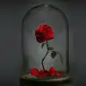 baybgirl_