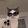 tugbamiyy