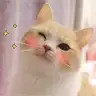 Dreamies