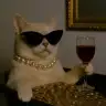 ladycharlotte