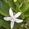 ubk_2711