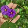 Pinar0757