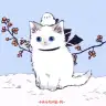 lilacdeux