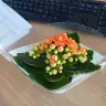 cnsktl