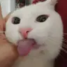 fundakucuk