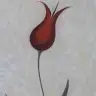 sukutuhayal_