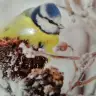Zeynake