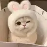 Aydakt