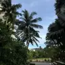 ezonimoo