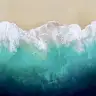 spongeboob