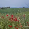 katibem