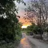 masalcanm