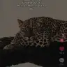 mmeerii