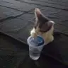 yoiyostew