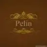 pelin8989