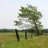 windinmymind