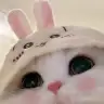 browniecat