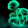 freakmushroom