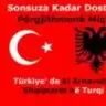 SIPTAR