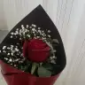 endo20