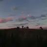 penyeztnc