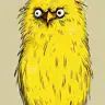 yellowcanary07