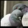 kuyinnn