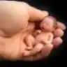 emili54