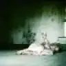 selennay
