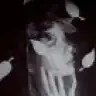 guldenizzz