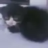6642