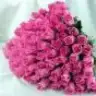 hasibe27