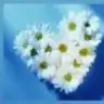 elif_yldrm