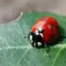 tugcen24