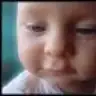 rengarenk_