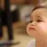 dodidmr