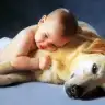 Liza_